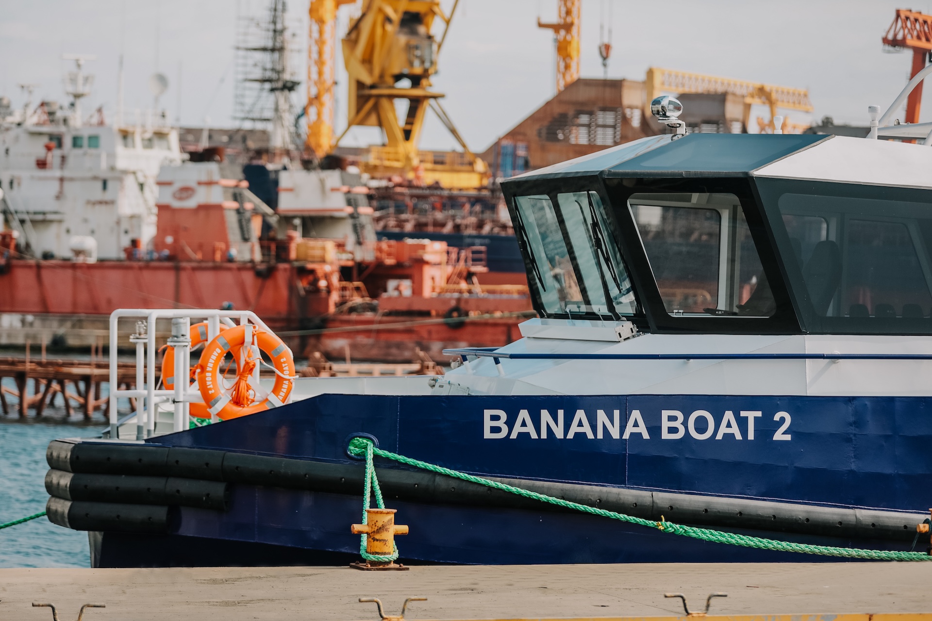 NB102 — Banana